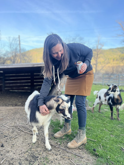 Person interacting with a goat in an outdoor setting with mountains in the background